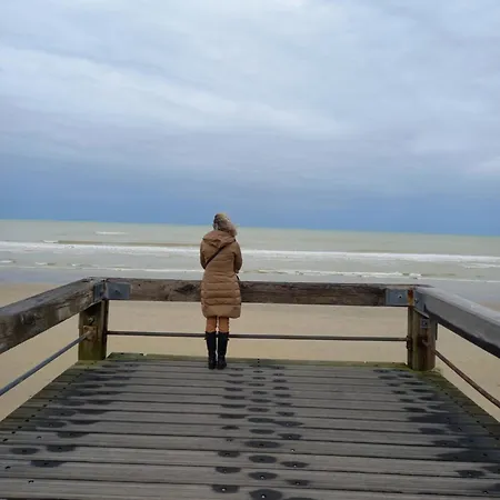 A 300 M Des Plages Sainte-Adresse